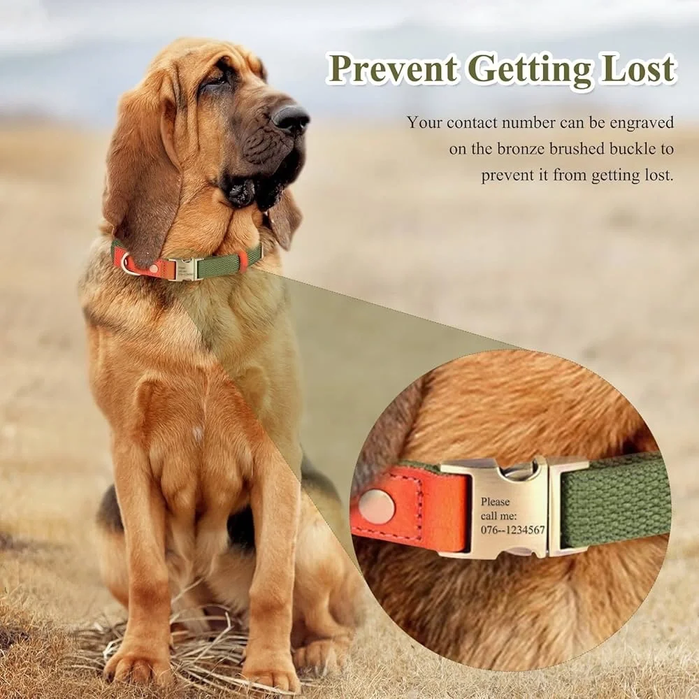 Ajustable Custom Dog Collar with Quick Release Buckle